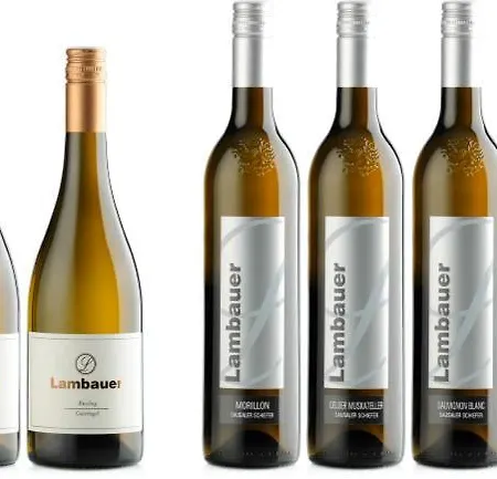 Weingut Lambauer 키체크 임 자우잘