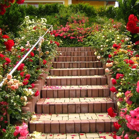 Weingut Lambauer 게스트하우스 키체크 임 자우잘